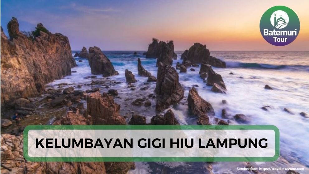 Hidden Paradise : Kelumbayan Gigi Hiu Lampung